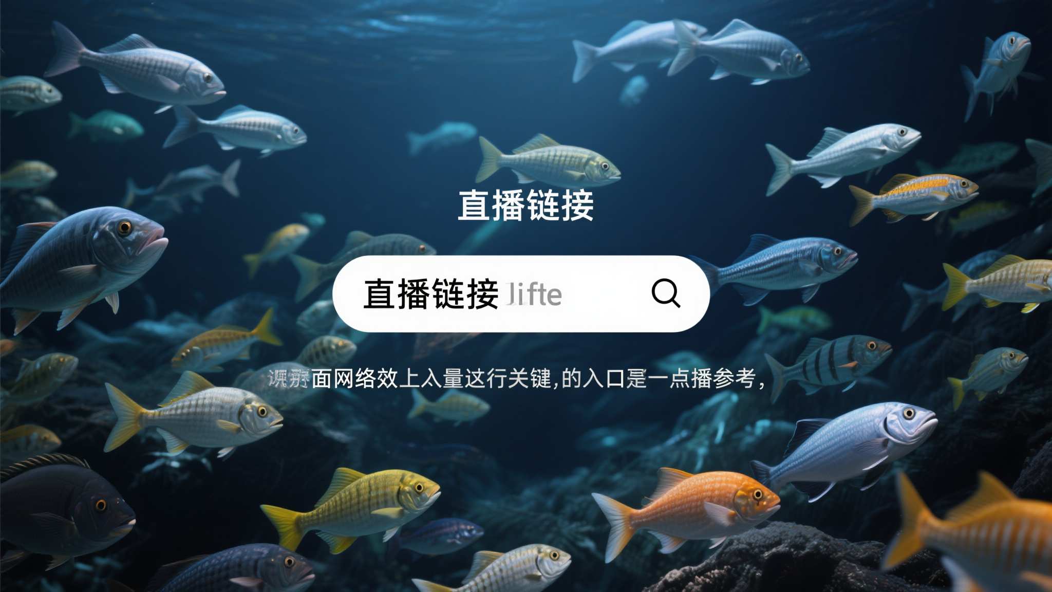 世界杯投注最新APP下载